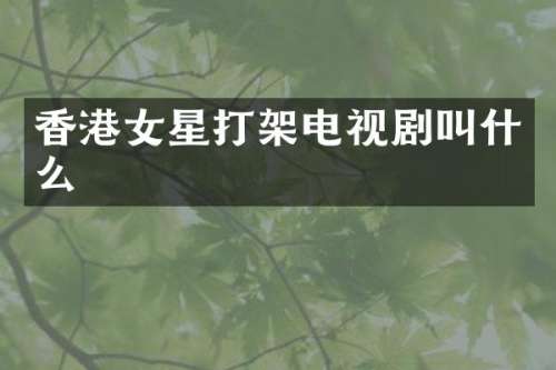 香港女星打架电视剧叫什么