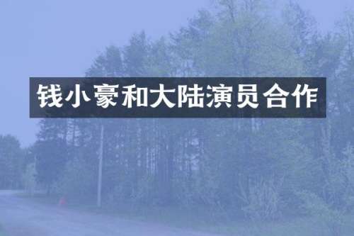 钱小豪和大陆演员合作
