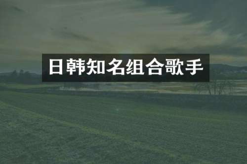 日韩知名组合歌手