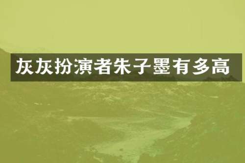 灰灰扮演者朱子墨有多高