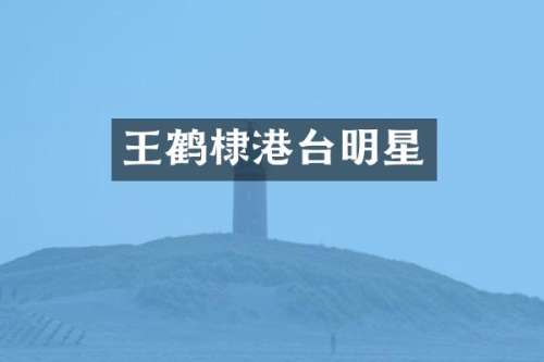 王鹤棣港台明星