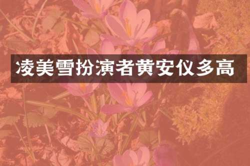 凌美雪扮演者黄安仪多高