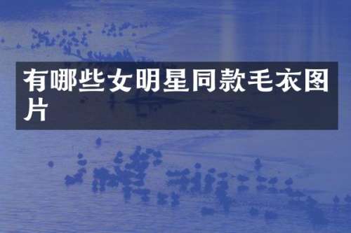 有哪些女明星同款毛衣图片