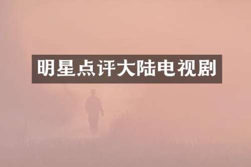 明星点评大陆电视剧