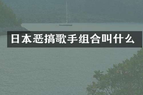 日本恶搞歌手组合叫什么