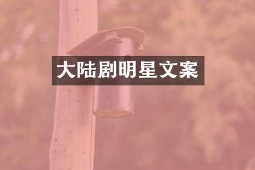大陆剧明星文案