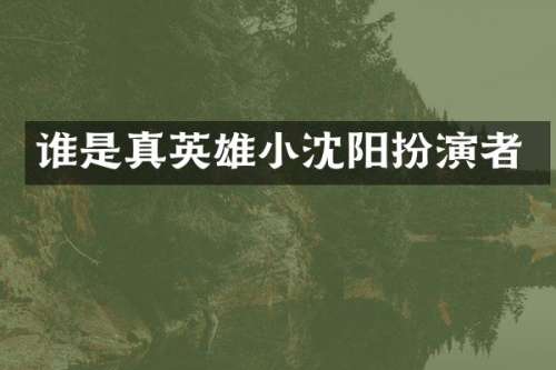 谁是真英雄小沈阳扮演者