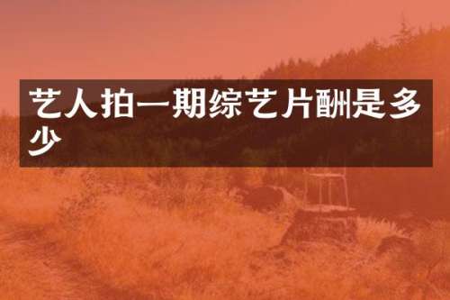 艺人拍一期综艺片酬是多少