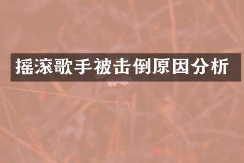 摇滚歌手被击倒原因分析