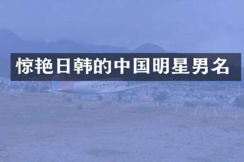 惊艳日韩的中国明星男名