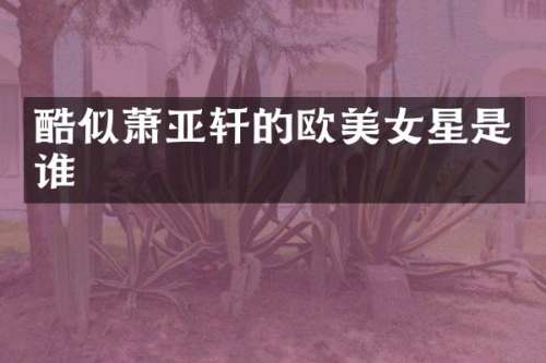 酷似萧亚轩的欧星是谁