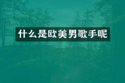 什么是欧美男歌手呢