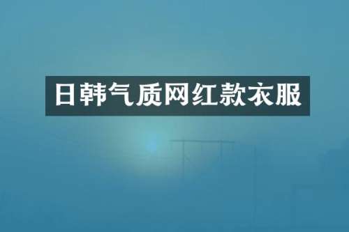 日韩气质网红款衣服
