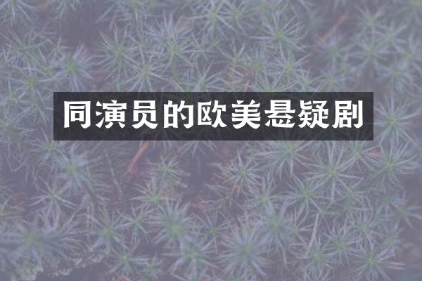 同演员的欧美悬疑剧