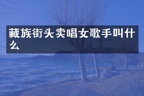 藏族街头卖唱女歌手叫什么