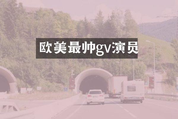 欧美最帅gv演员