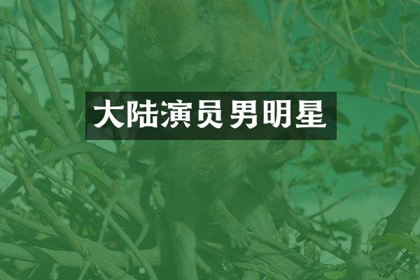 大陆演员男明星