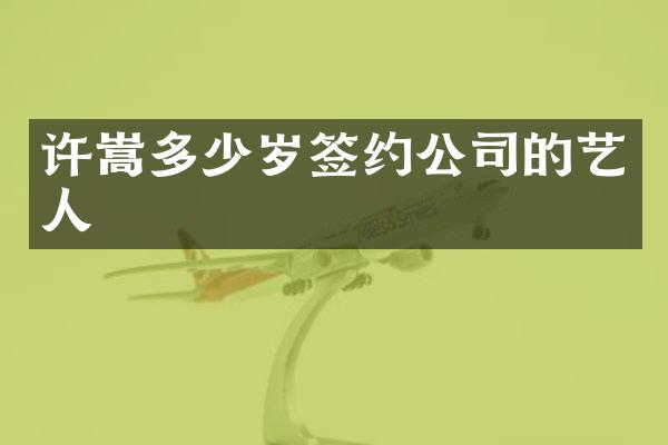许嵩签约公司的艺人