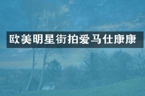 欧美明星街拍爱马仕康康