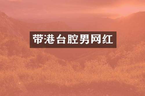 带港台腔男网红
