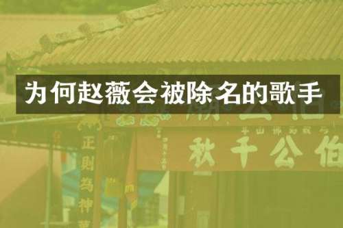 为何赵薇会被除名的歌手