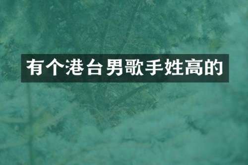 有个港台男歌手姓高的