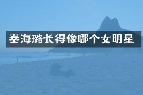 秦海璐长得像哪个女明星