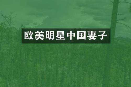 欧美明星中国妻子