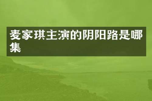 麦家琪主演的阴阳路是哪集