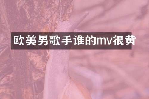 欧美男歌手谁的mv很黄