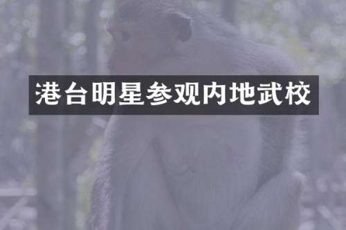 港台明星参观内地武校