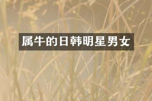 属牛的日韩明星男女