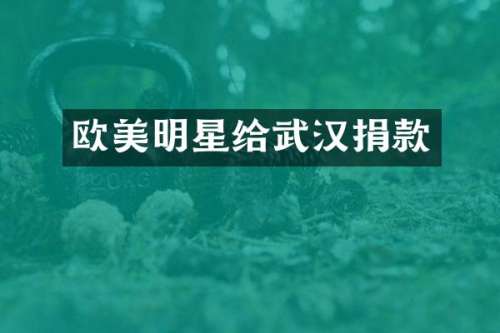 欧美明星给武汉捐款