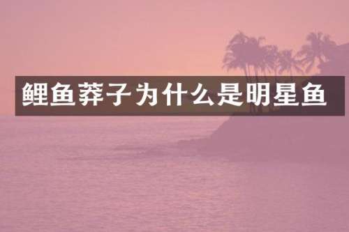 鲤鱼莽子为什么是明星鱼