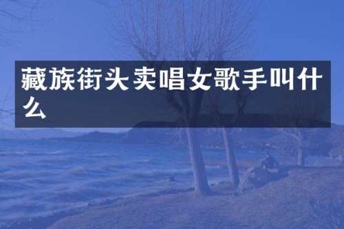 藏族街头卖唱女歌手叫什么