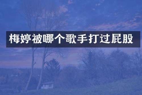 梅婷被哪个歌手打过屁股