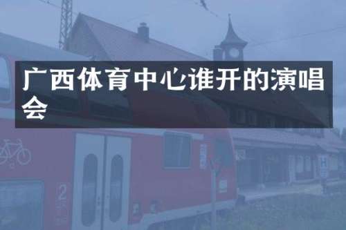 广西体育中心谁开的演唱会
