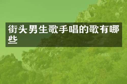 街头男生歌手唱的歌有哪些
