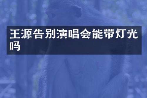 王源告别演唱会能带灯光吗