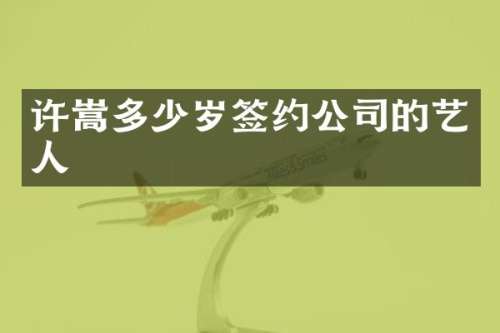 许嵩签约公司的艺人