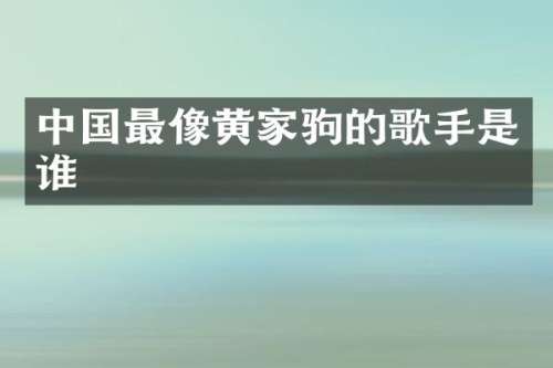 中国最像黄家驹的歌手是谁