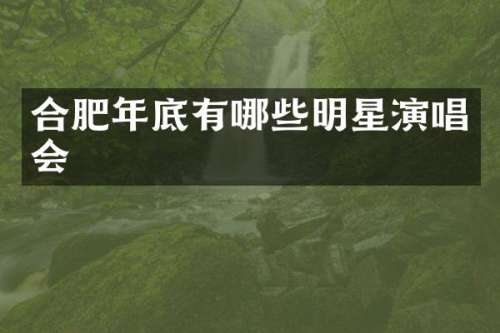 合肥年底有哪些明星演唱会