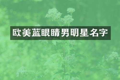 欧美蓝眼睛男明星名字