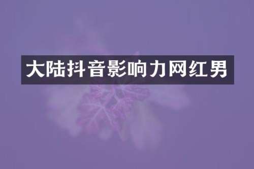 大陆抖音影响力网红男