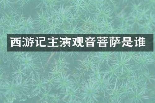 西游记主演观音菩萨是谁