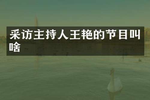 采访主持人王艳的节目叫啥