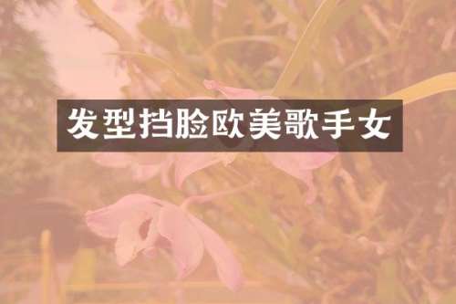 发型挡脸欧美歌手女
