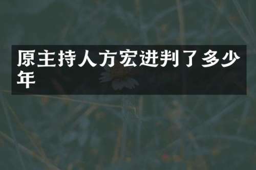 原主持人方宏进判了多少年