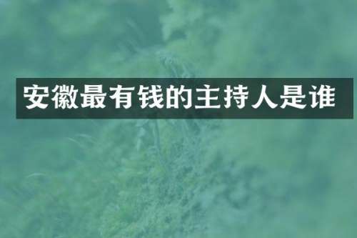 安徽最有钱的主持人是谁