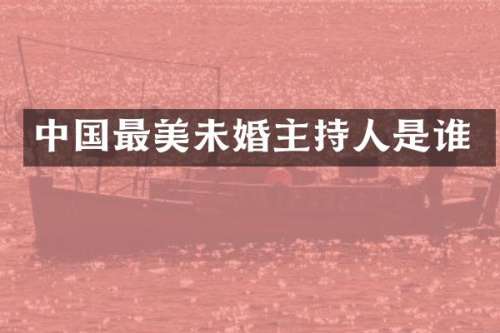 中国最美未婚主持人是谁